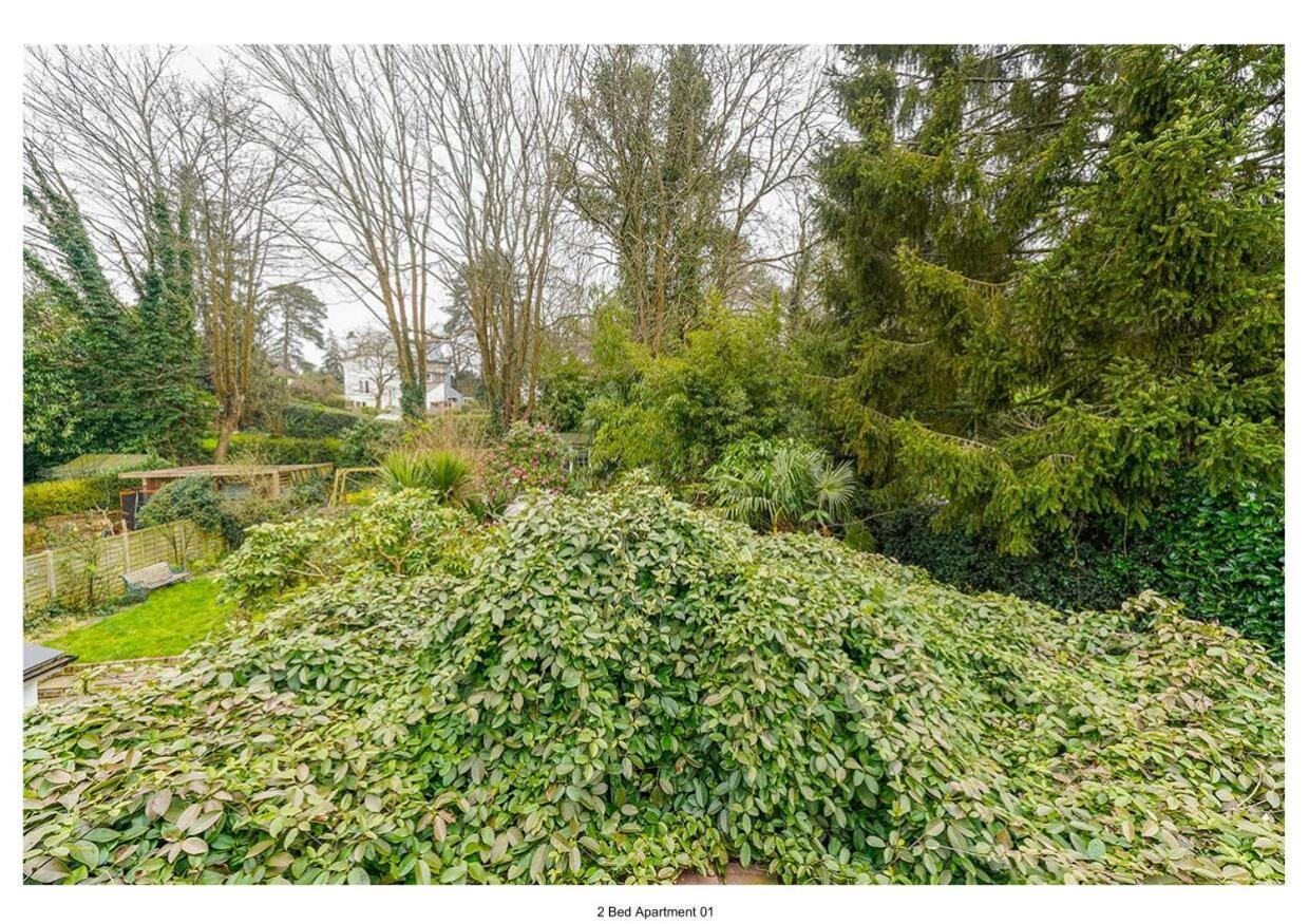 The Park Apartment Haywards Heath Exteriér fotografie